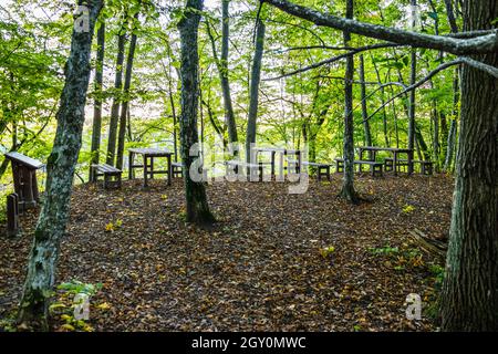 Picknickbereich mit Holzbänken und Stühlen im Wald Stockfoto