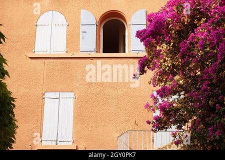 Helle farbige Hausfront geschmückt mit blühenden Pflanzen im mediterranen Küstendorf Collioure in Südfrankreich Stockfoto