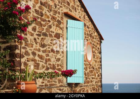 Giebel Wand aus Steinhaus mit türkisfarbenen hölzernen Fensterläden und roten Blumen mit Mittelmeer sichtbar. Collioure, Frankreich Stockfoto