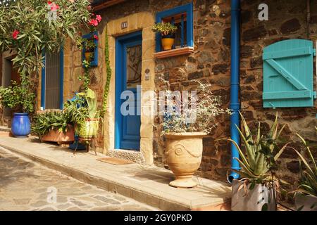 Bunte Hausfront geschmückt mit Pflanzen im mediterranen Küstendorf Collioure in Südfrankreich Stockfoto