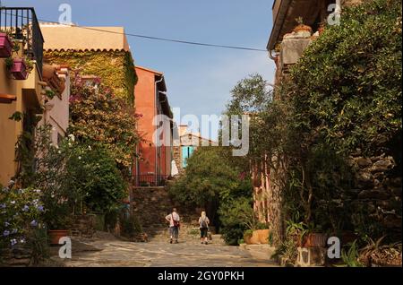 Zwei Menschen gehen auf der Straße, die von blühenden Pflanzen im mediterranen Küstendorf Collioure, Südfrankreich, umgeben ist Stockfoto