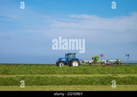 Traktor schneidet Silage auf einem Feld auf Marske Cliffs, North yorkshire, großbritannien Stockfoto
