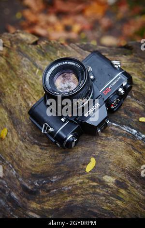 Antike Nikon-Kamera auf einem gefallenen Baumstamm im Herbst Stockfoto