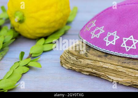 Jüdische Symbole Feiertag Sukkot in der Synagoge Stockfoto