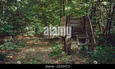 Ein Jagdturm für die Jagd auf Tiere in einem bewachsenen Wald. Stockfoto