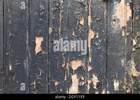 Nahaufnahme der verwitterten und abgenutzten Holzplatte mit abblätternder Farbe Stockfoto