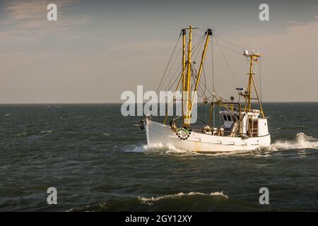 Fischtrawler, Nordsee, Nationalpark Schleswig-Holsteinisches Wattenmeer, Schleswig-Holstein, Deutschland Stockfoto
