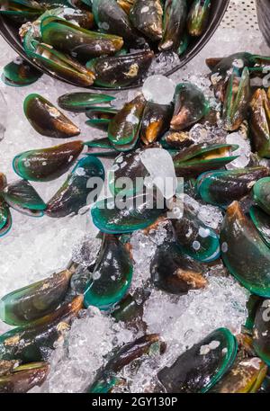 Gruppe der rohen Muscheln auf der Eisschale zum Verkauf des Fischmarktes in der Nähe des Meeres, Vorderansicht für den Hintergrund. Stockfoto