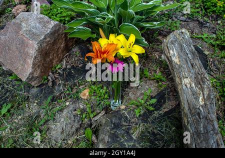 Ein Blick aus der Nähe auf einen Blumengarten im Freien mit einer Glasvace mit bunt geschnittenen Blumen. Eine rustikale Atmosphäre mit Zartheit und Kühnheit, die e komplimentieren Stockfoto