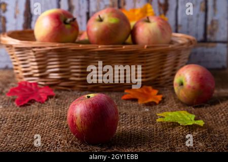 Reife Äpfel auf Sackleinen und in einem Korb. Rustikaler Stil, Nahaufnahme. Stockfoto