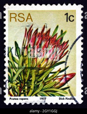 SÜDAFRIKA - UM 1977: Eine in Südafrika gedruckte Marke zeigt Common Sugarbush, Protea Repens, Flowering Plant, um 1977 Stockfoto