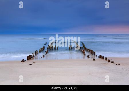 Reste von verwittertem Holzgroyne / Leistengras / Wellenbrecher am Strand von Rantum auf der Insel Sylt, Nordfriesland, Schleswig-Holstein, Deutschland Stockfoto