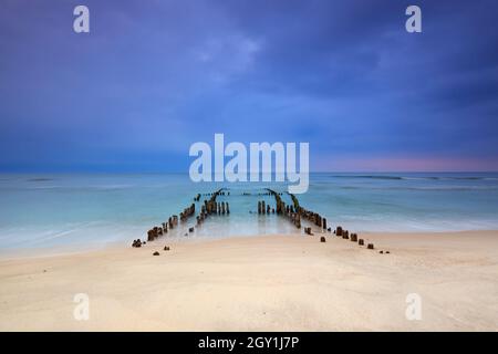 Reste von verwittertem Holzgroyne / Leistengras / Wellenbrecher am Strand von Rantum auf der Insel Sylt, Nordfriesland, Schleswig-Holstein, Deutschland Stockfoto