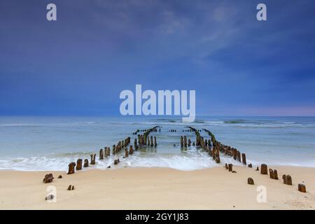 Reste von verwittertem Holzgroyne / Leistengras / Wellenbrecher am Strand von Rantum auf der Insel Sylt, Nordfriesland, Schleswig-Holstein, Deutschland Stockfoto