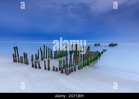 Reste von verwittertem Holzgroyne / Leistengras / Wellenbrecher am Strand von Rantum auf der Insel Sylt, Nordfriesland, Schleswig-Holstein, Deutschland Stockfoto