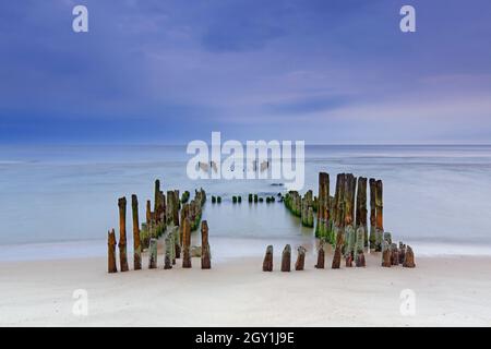 Reste von verwittertem Holzgroyne / Leistengras / Wellenbrecher am Strand von Rantum auf der Insel Sylt, Nordfriesland, Schleswig-Holstein, Deutschland Stockfoto