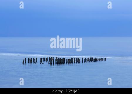 Reste von verwittertem Holzgroyne / Leistengras / Wellenbrecher am Strand von Rantum auf der Insel Sylt, Nordfriesland, Schleswig-Holstein, Deutschland Stockfoto