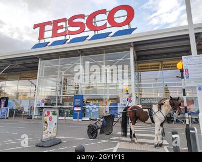 Evesham, Worcestershire, Vereinigtes Königreich. Oktober 2021. Ein Pferd und eine Karre, auch bekannt als „skully“, wurde am Mittwochabend auf einer Zebraüberquerung vor einem Tesco Supermarkt in Evesham geparkt und der Besitzer ging einkaufen. Das Tier wurde mit einem Seil an den Zebrakreuzpfosten gebunden. Das amüsante Bild entsteht, wenn die Menschen andere Verkehrsmittel suchen, während die Treibstoffkrise in England andauert. PIC by Credit: Stop Press Media/Alamy Live News Stockfoto