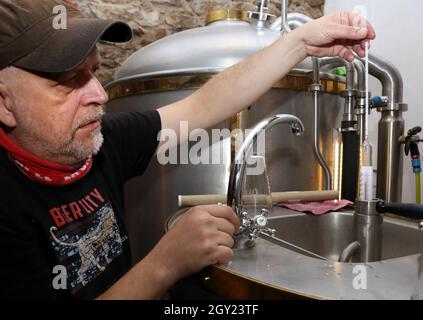 Krakau. Krakau. Polen. Bierherstellung in Mikrobrauereien. Braumeister misst den Zuckergehalt in Würze mit einem Hydrometer. Stockfoto