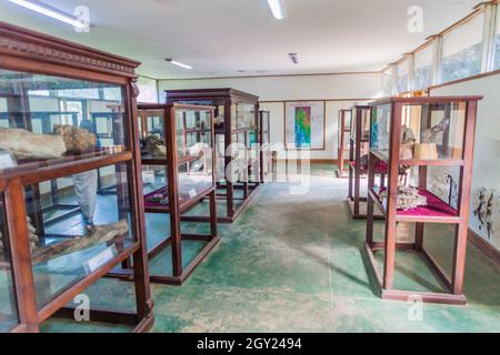 PYIN OO LWIN, MYANMAR - 29. NOVEMBER 2016: Ausstellung aus versteinertem Holz im Botanischen Garten von Kandawgyi in Pyin Oo Lwin, Myanmar Stockfoto