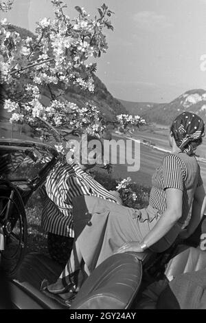 Zwei junge Frauen machen 5/6 einer Spazierfahrt mit dem Cabrio unter einem blühenden Kirschbaum im Schwarzwald Rast, Deutschland 1930er Jahre. Zwei junge Frauen ruhen unter einem blühenden Kirschbaum im Schwarzwald während Ihrer Reise mit einem Cabrio, Deutschland 1930. Stockfoto