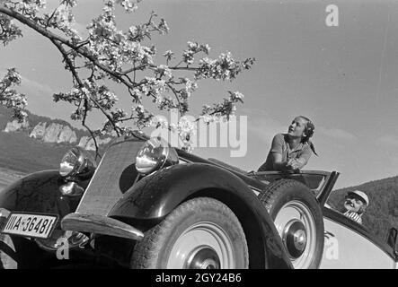 Zwei junge Frauen machen 5/6 einer Spazierfahrt mit dem Cabrio unter einem blühenden Kirschbaum im Schwarzwald Rast, Deutschland 1930er Jahre. Zwei junge Frauen ruhen unter einem blühenden Kirschbaum im Schwarzwald während Ihrer Reise mit einem Cabrio, Deutschland 1930. Stockfoto