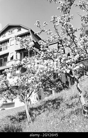 Entspannung im sonnigen Garten, Freudenstadt, Deutschland 1930er Jahre. Entspannung im sonnigen Garten, Freudenstadt, Deutschland 1930. Stockfoto