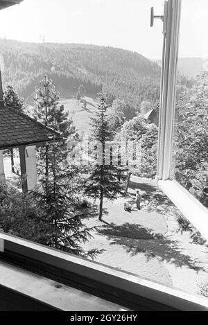 Entspannung im sonnigen Garten, Freudenstadt, Deutschland 1930er Jahre. Entspannung im sonnigen Garten, Freudenstadt, Deutschland 1930. Stockfoto