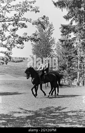 Reiter bei einem Reitausflug im Wald bei Freudenstadt, Deutschland 1930er Jahre. Reiter auf einem Pferd reiten Reise in den Wäldern in der Nähe von Freudenstadt, Deutschland 1930. Stockfoto