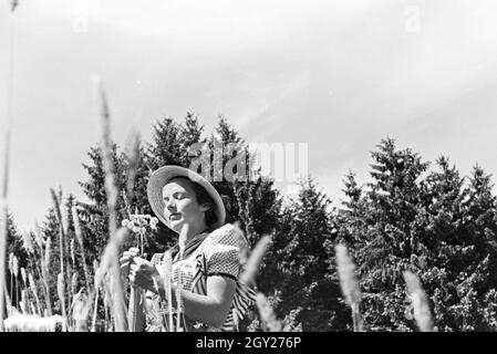 Porträt Einer Jungen Frau Auf Einer Blumenwiese, Freudenstadt, Deutschland 1930er Jahre. Porträt einer jungen Frau auf einer Blumenwiese, Freudenstadt, Deutschland der 1930er Jahre. Stockfoto