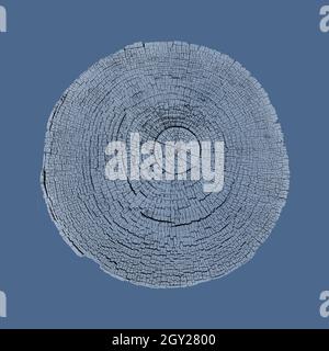 Tiefblaues Foto einer detailgetreuen Schnittbaumbautscheibe mit Ringen und organischer Textur. Monotone Baumringdruck gepresstes Holz. Stockfoto