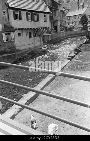 Der Luftkurort Altensteig im Schwarzwald, Deutschland 1930er Jahre. Der Luftkurort Altensteig im Schwarzwald, Deutschland der 1930er Jahre. Stockfoto