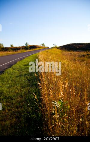 Weizenfeld neben grünem Gras neben einer langen Straße, die in den Horizont führt Stockfoto