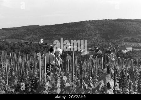 Ein Ausflug in Die Weinstadt Schnait, 1930er Jahre Deutschland. Eine Reise in die Weinstadt Schnait, Deutschland der 1930er Jahre. Stockfoto