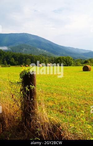 Heuballen säumen die grünen Felder mit einem Fencepost im Vordergrund und einem großen grauen Berg mit Bäumen am Fuß im Hintergrund Stockfoto