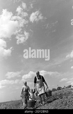 Rheinische Bauern bei der Arbeit, Deutsches Reich 30er Jahre. Rheinische Landwirte arbeiten, Deutschland 1930. Stockfoto