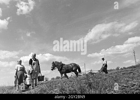 Rheinische Bauern bei der Arbeit, Deutsches Reich 30er Jahre. Rheinische Landwirte arbeiten, Deutschland 1930. Stockfoto