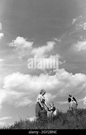 Rheinische Bauern bei der Arbeit, Deutsches Reich 30er Jahre. Rheinische Landwirte arbeiten, Deutschland 1930. Stockfoto
