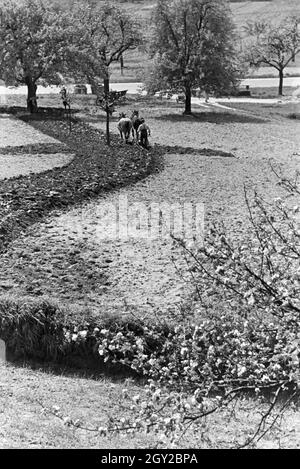 Rheinische Bauern bei der Arbeit, Deutsches Reich 30er Jahre. Rheinische Landwirte arbeiten, Deutschland 1930. Stockfoto