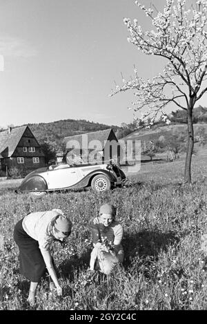 Ein Ausflug mit dem Ford Eifel, Deutsches Reich 30er Jahre. Ein Ausflug mit der Ford Eifel, Deutschland 1930. Stockfoto