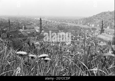 Ein Ausflug nach Heidelberg, Deutsches Reich 30er Jahre. Ein Ausflug nach Heidelberg; Deutschland 1930. Stockfoto