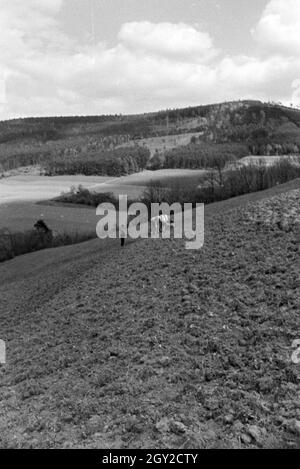 Ein Ausflug in den Odenwald, Deutsches Reich 30er Jahre. Ein Ausflug in den Wald von Oden, Deutschland 1930. Stockfoto