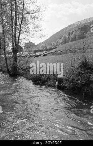 Ein Ausflug in den Odenwald, Deutsches Reich 30er Jahre. Ein Ausflug in den Wald von Oden, Deutschland 1930. Stockfoto