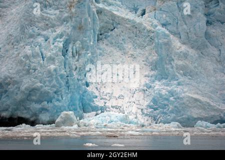 Eiskalben am vorderen Ende des Aialik Glacier, Aialik Bay, Kenai Fjords National Park, Alaska, USA Stockfoto