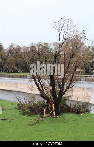 SAN JUAN, PUERTO RICO - 11. Nov 2017: Die Folgen des HIHYPEN Maria in San Juan, Puerto Rico Stockfoto