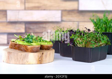 Sandwiches mit Microgreens und Avocado auf dem Tisch. Gesunde Ernährung Konzept der sauberen Lebensmittel. Stockfoto