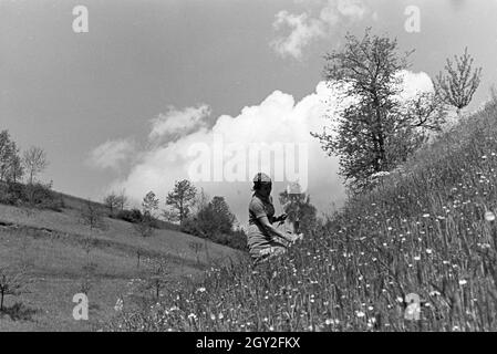 Ein Ausflug nach Freiburg im Breisgau, Deutsches Reich 30er Jahre. Eine Exkursion nach Freiburg im Breisgau, Deutschland 1930. Stockfoto