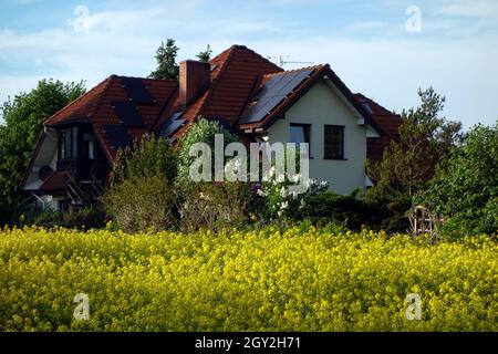 Freistehendes Wohnhaus zwischen Frühlingsfeldern von Raps. Mit Sonnenkollektoren auf dem Dach Stockfoto
