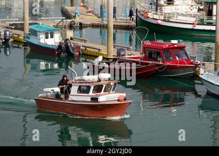 Angeln und Ausflugsboote im Homer Hafen, Homer, Alaska, USA Stockfoto