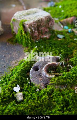 Zunder und Maschinen mit grünen Moosen überwuchert Stockfoto